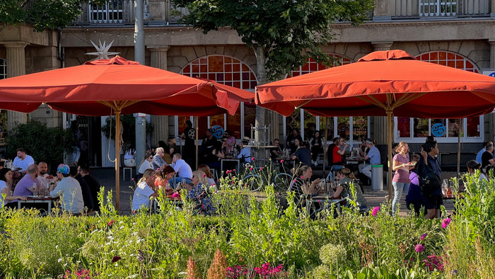 Sommerfest-vinocentral-1