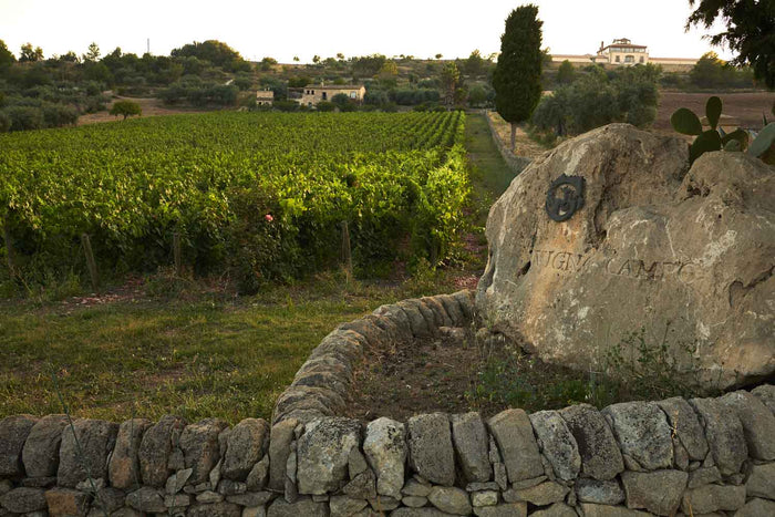 Laga Vigna Campo von Cantina Gulfi