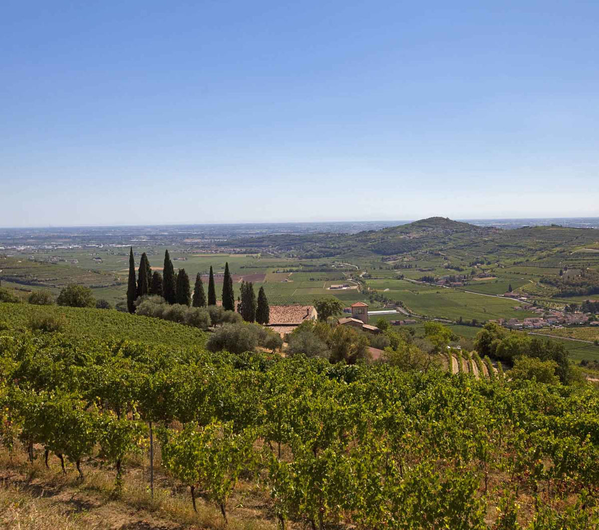 Corte Sant'Alda