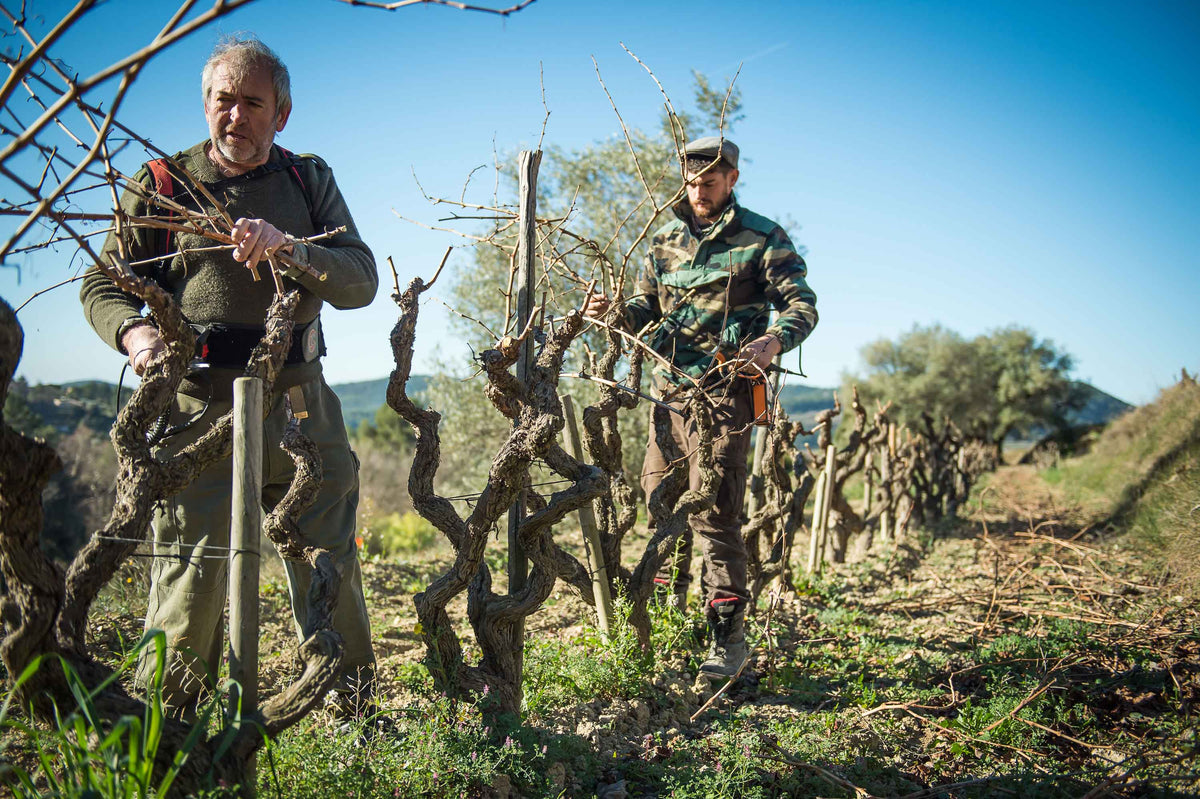 Domaine Ray Jane