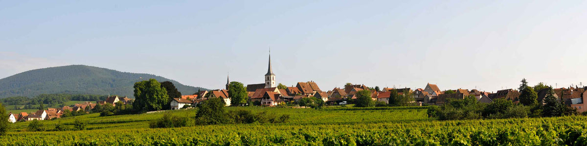 Domaine Rieffel