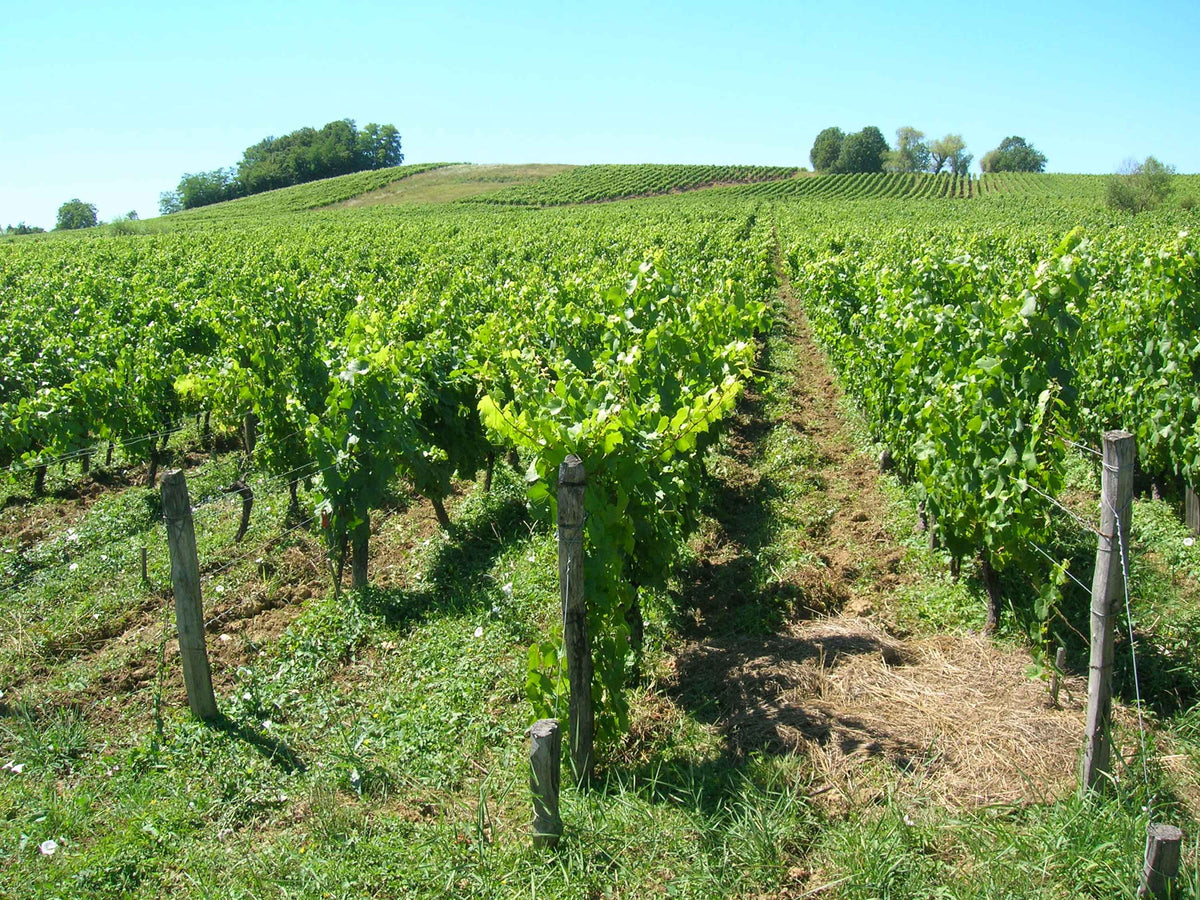 Domaine Villet