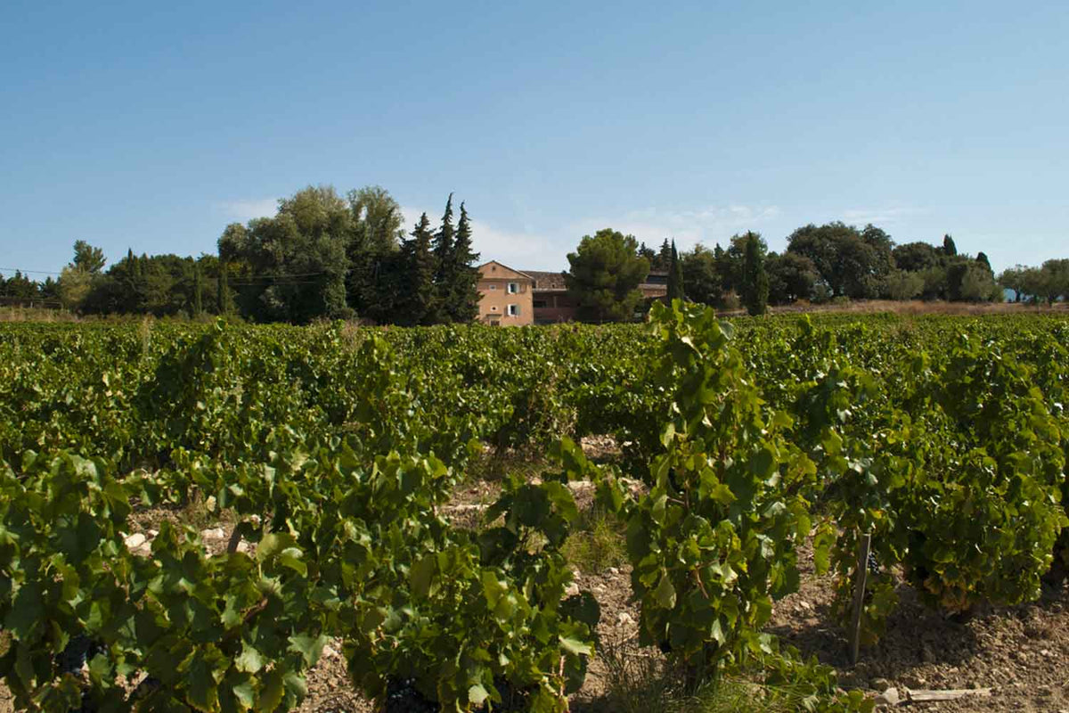 Domaine Gramenon