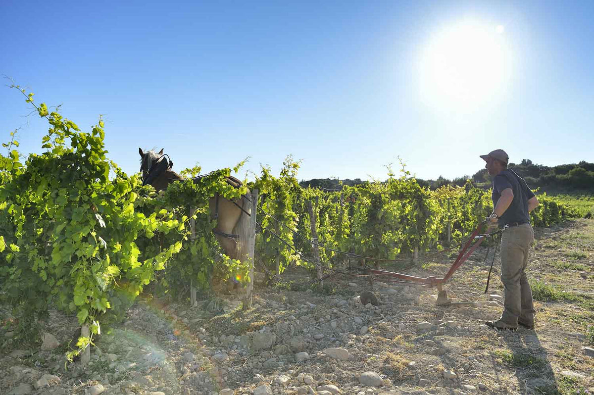Domaine de Beaurenard