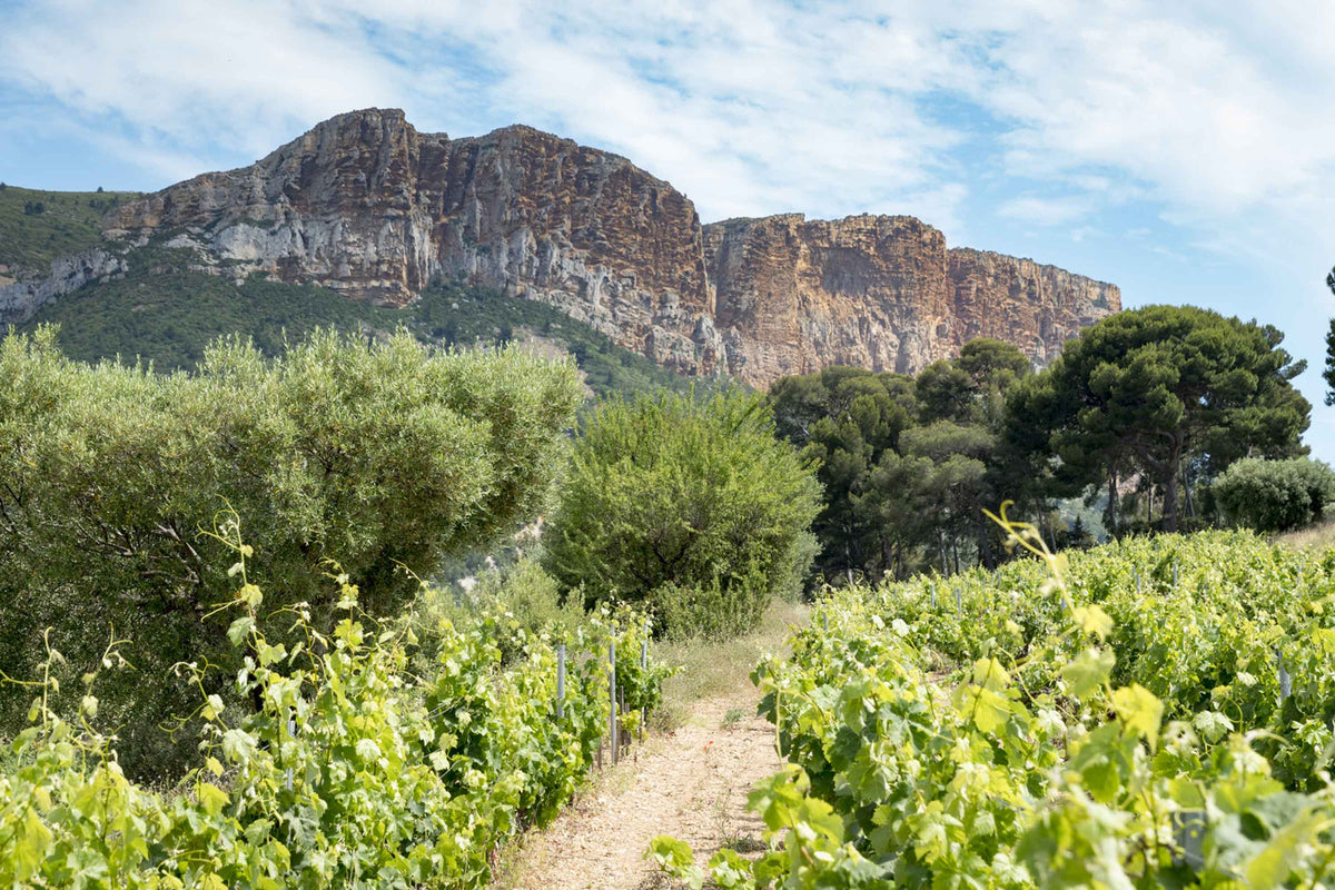 Domaine du Bagnol
