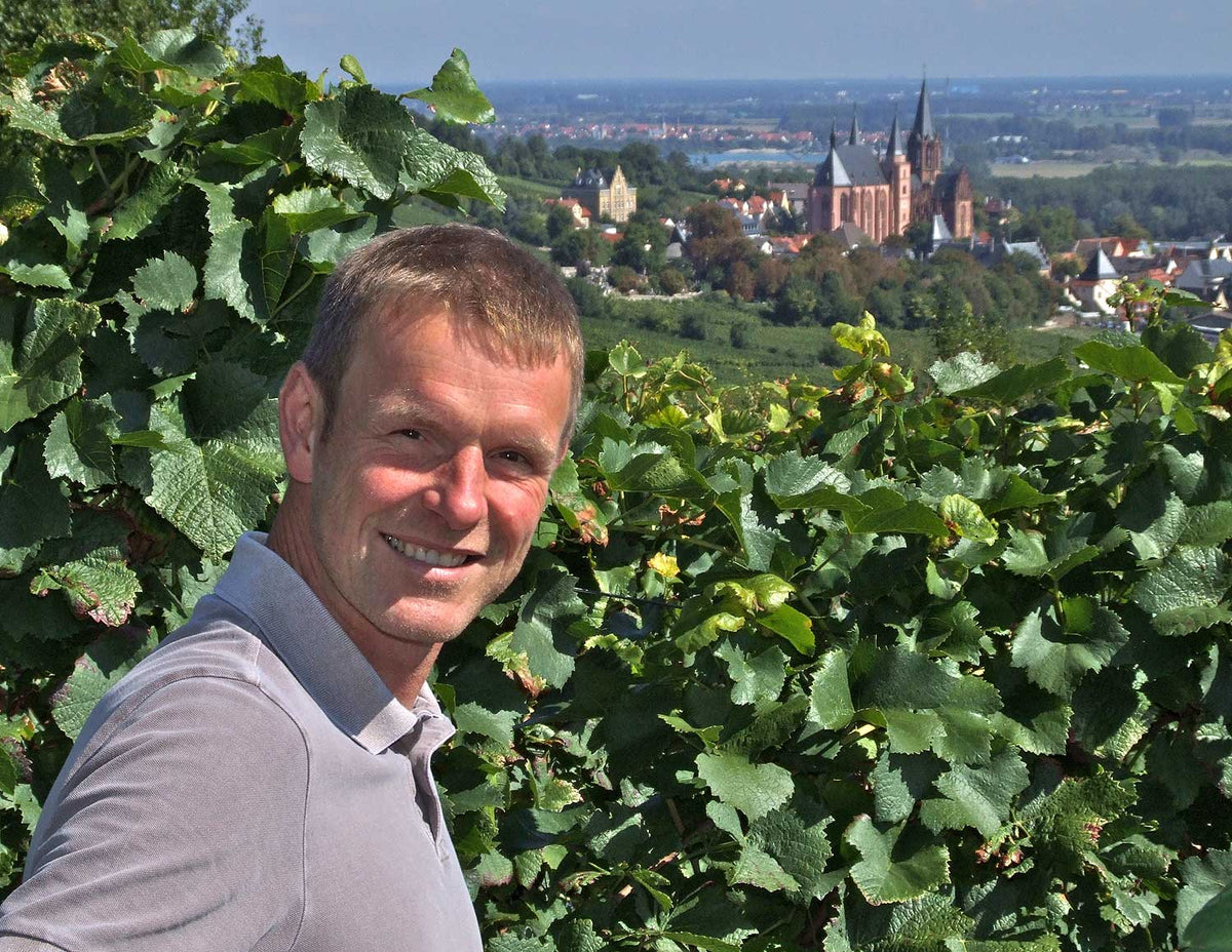 Kissinger Weingut