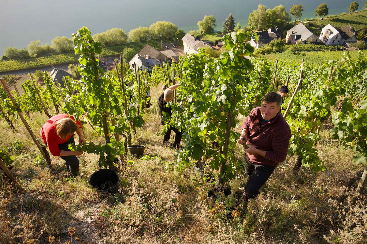 Klaus Peter Keller Weingut