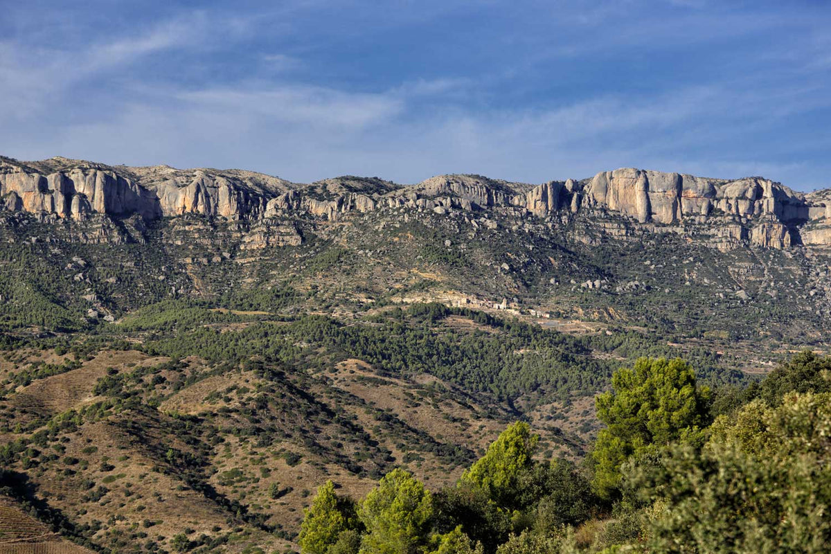 Terroir al Limit