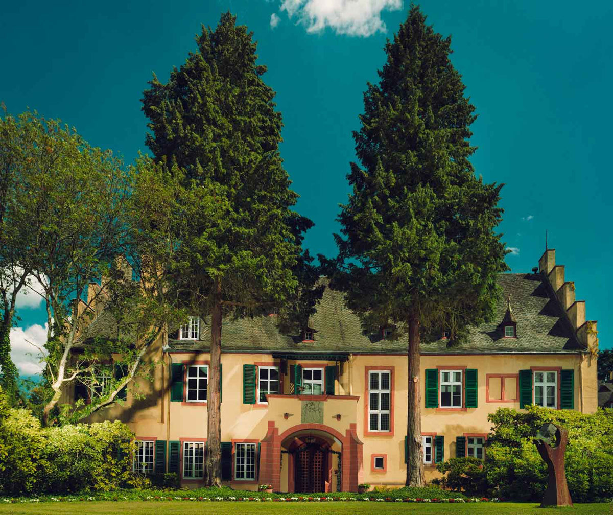 Maximin Grünhaus Weingut