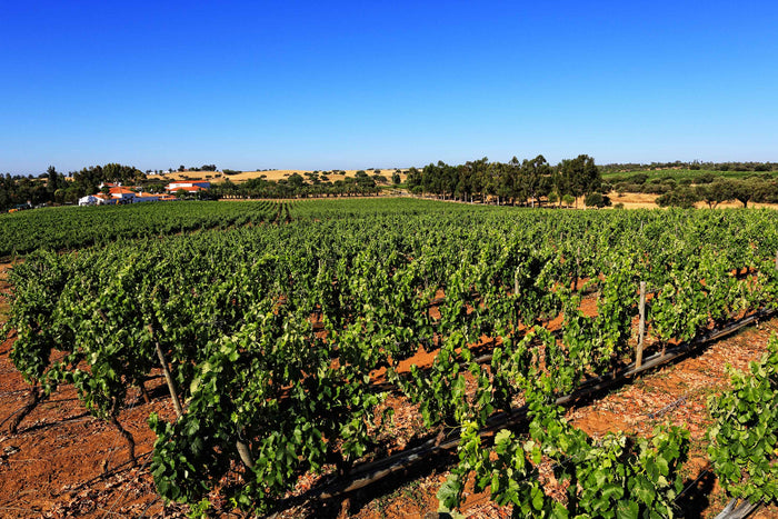 Alentejo