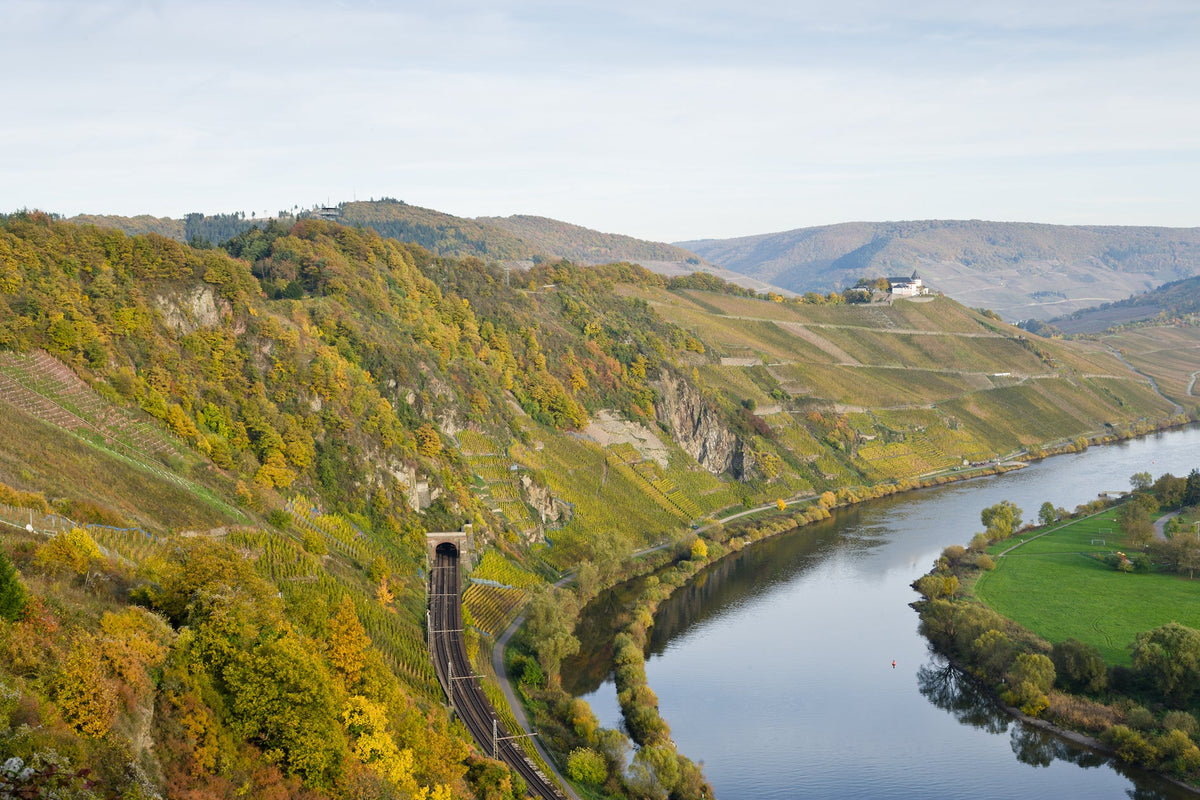 Unsere Weingüter aus der Region Mosel-Saar-Ruwer: