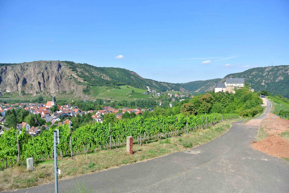 Unsere Weingüter aus der Region Nahe: