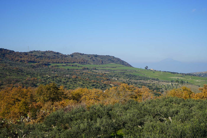 Spanien