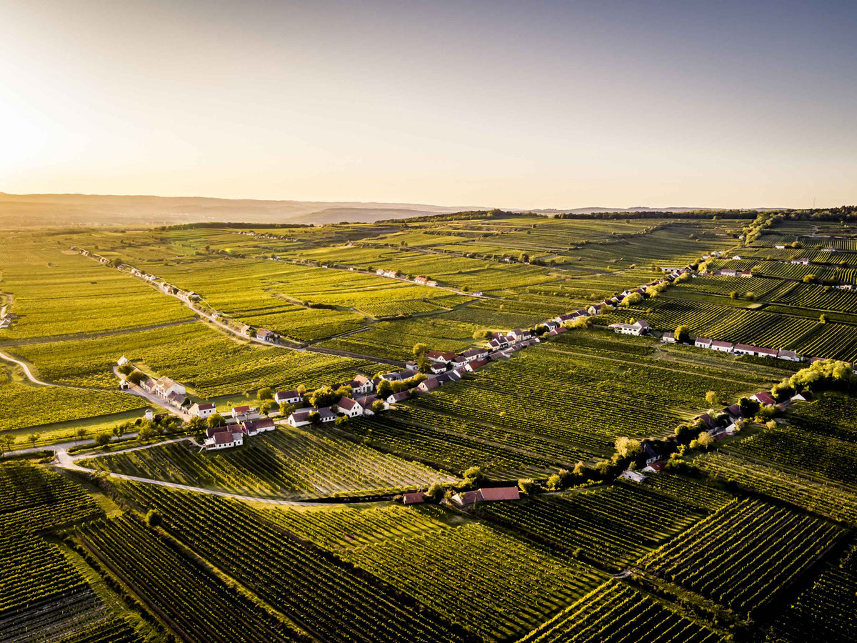 Unsere Weingüter aus der Region Wagram: