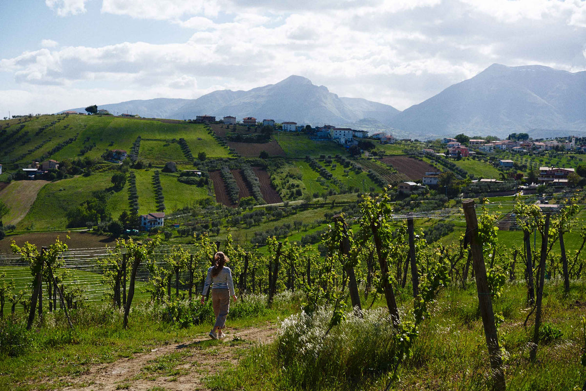 Unsere Weingüter aus der Region Abruzzen: