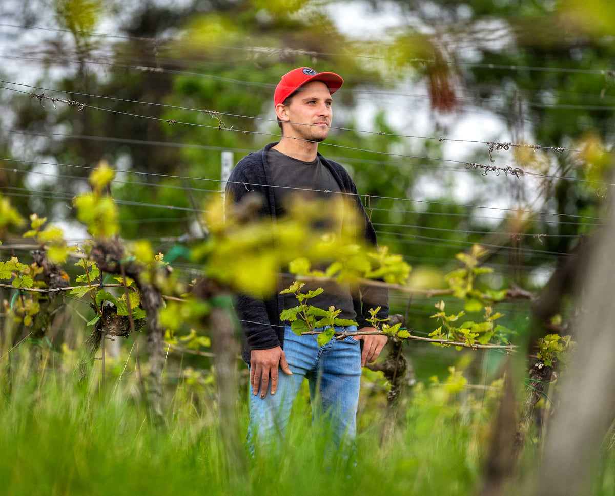 Seckinger Weingut