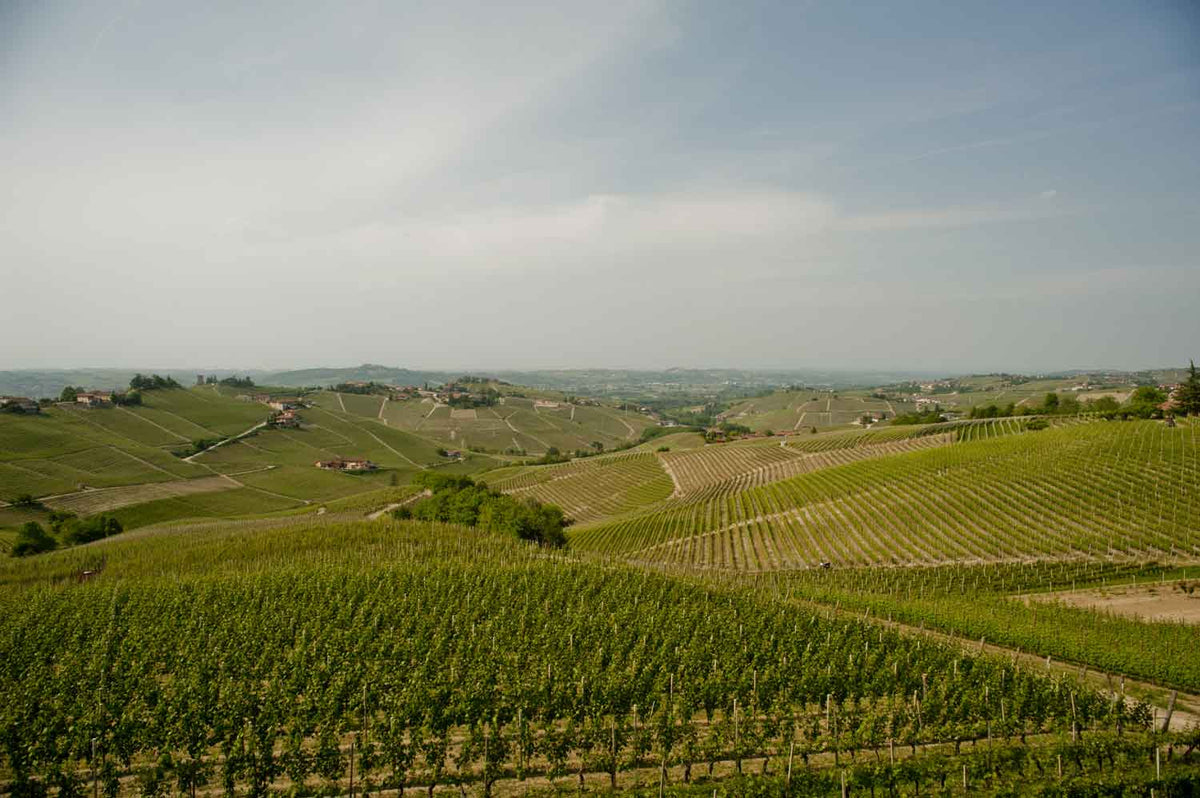 Sottimano