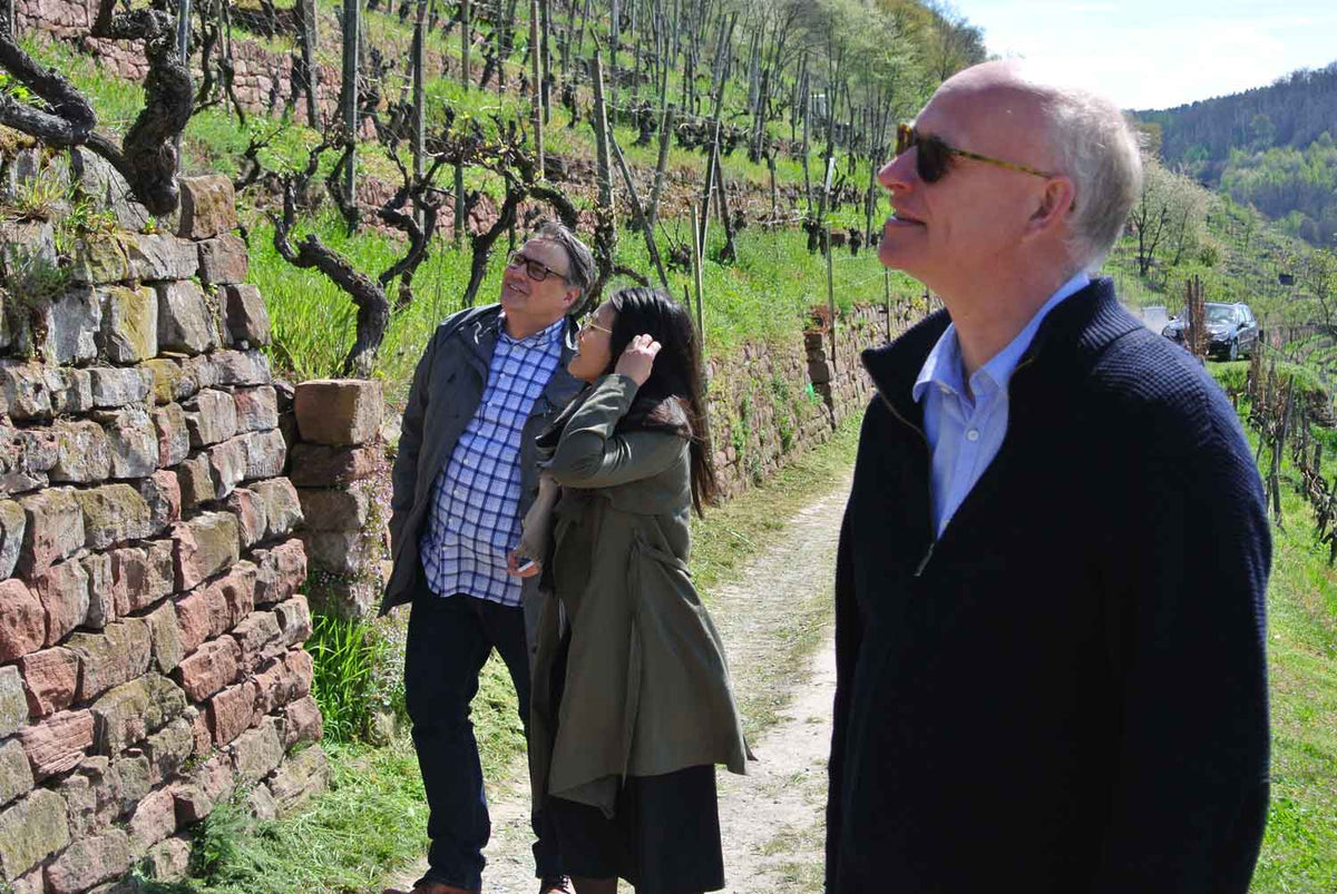Steintal Weingut