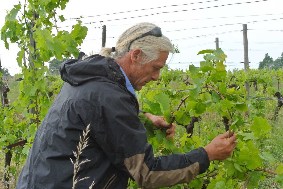 Michael Teschke Weingut