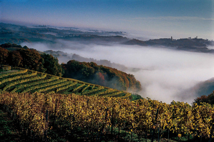 Blick in die von Nebeln durchzogene morgendliche Hügellandschaft um das Weingut Verus