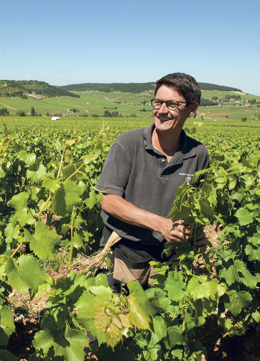Vincent Girardin