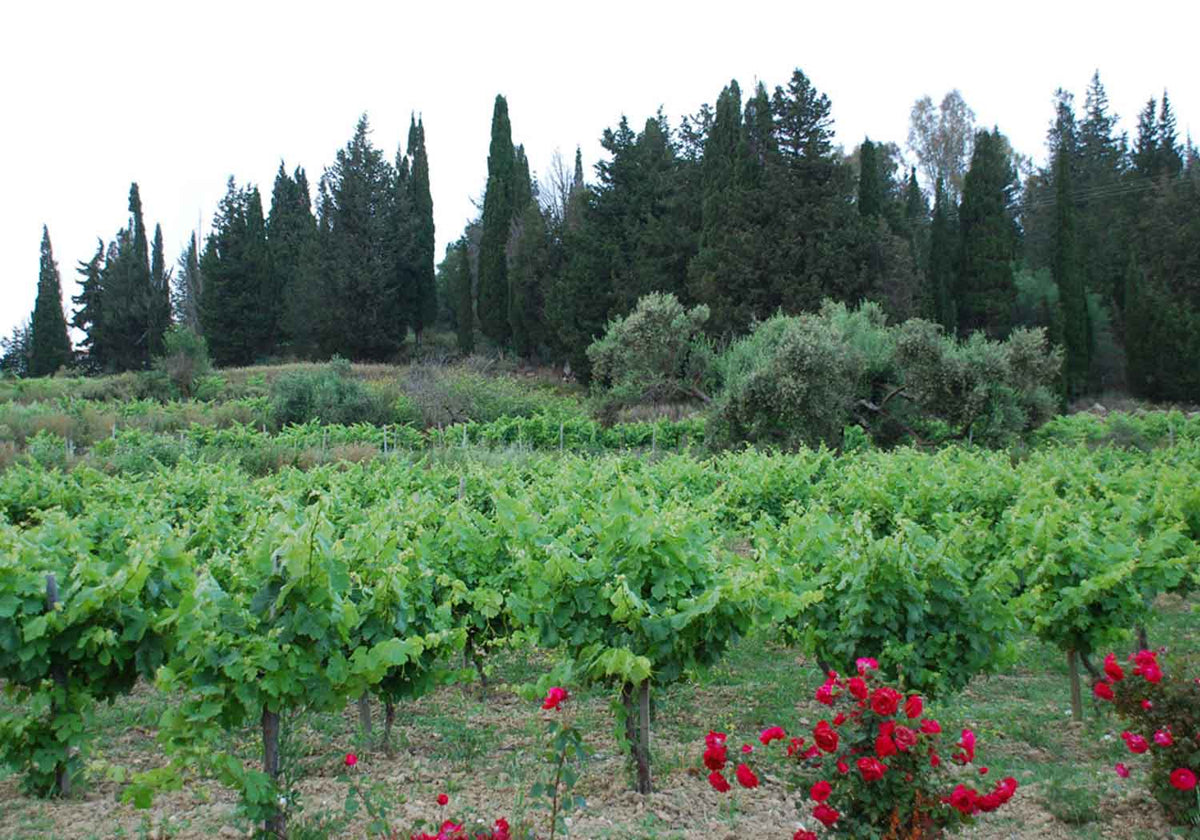 Sclavos Wines