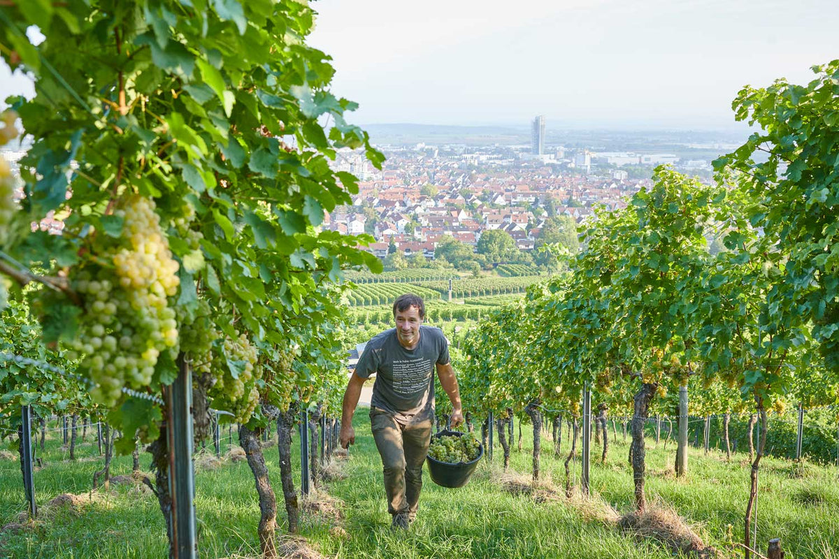 Heid Weingut