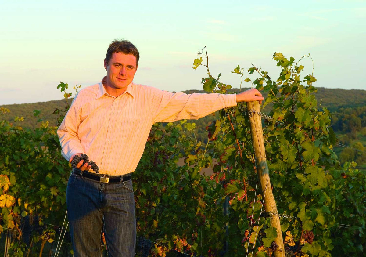 Hofmann Weingut