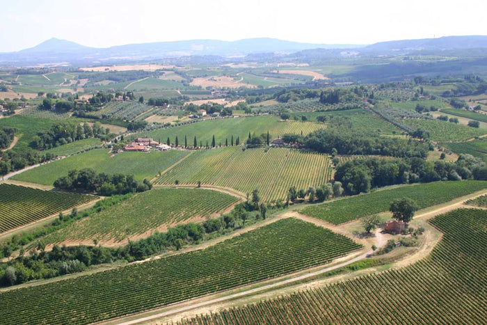 Die Weinberge von Boscarelli als Drohnenbild