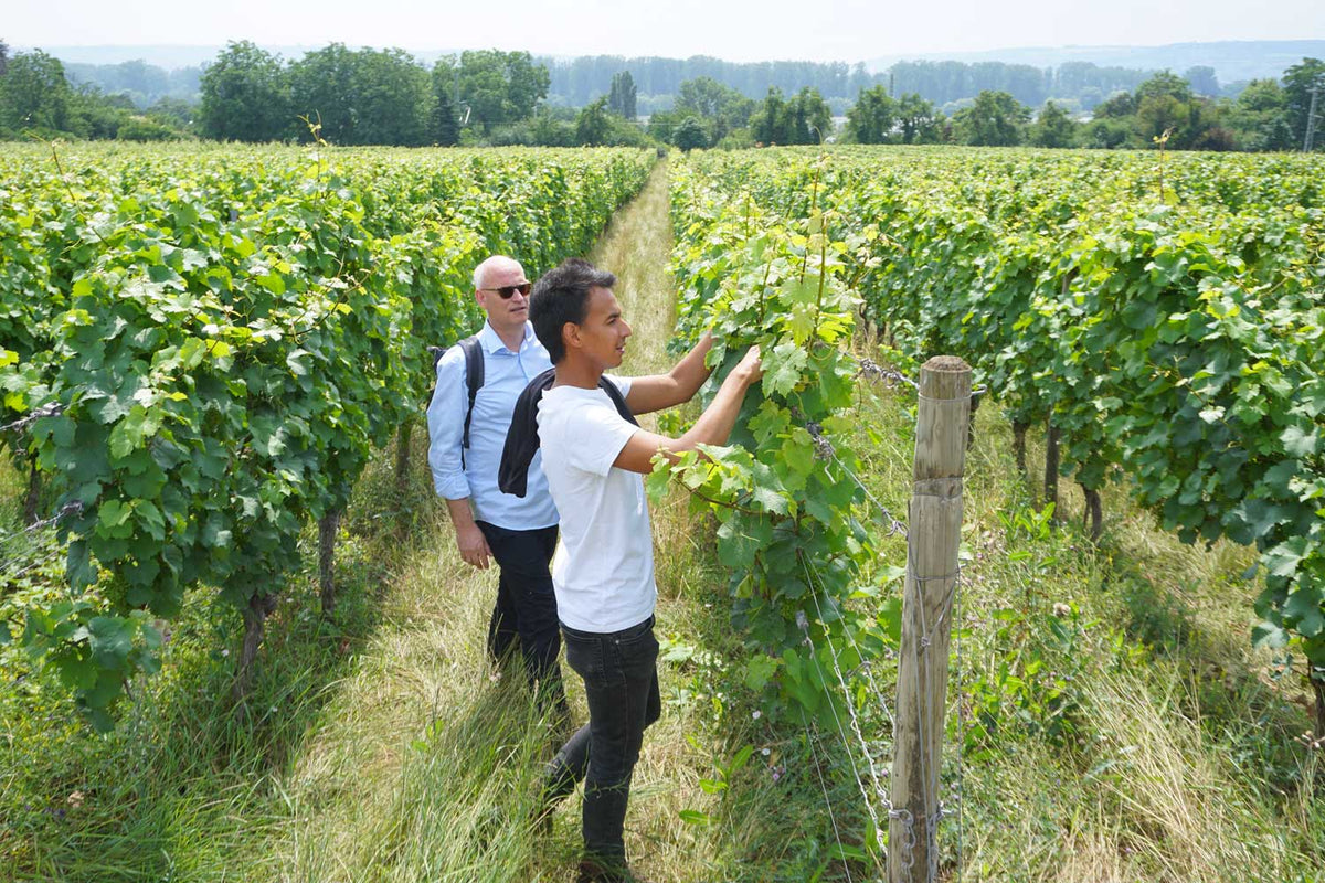 Michael Bode Böckenhauer mit Alex Saltaren Castro im Weinberg