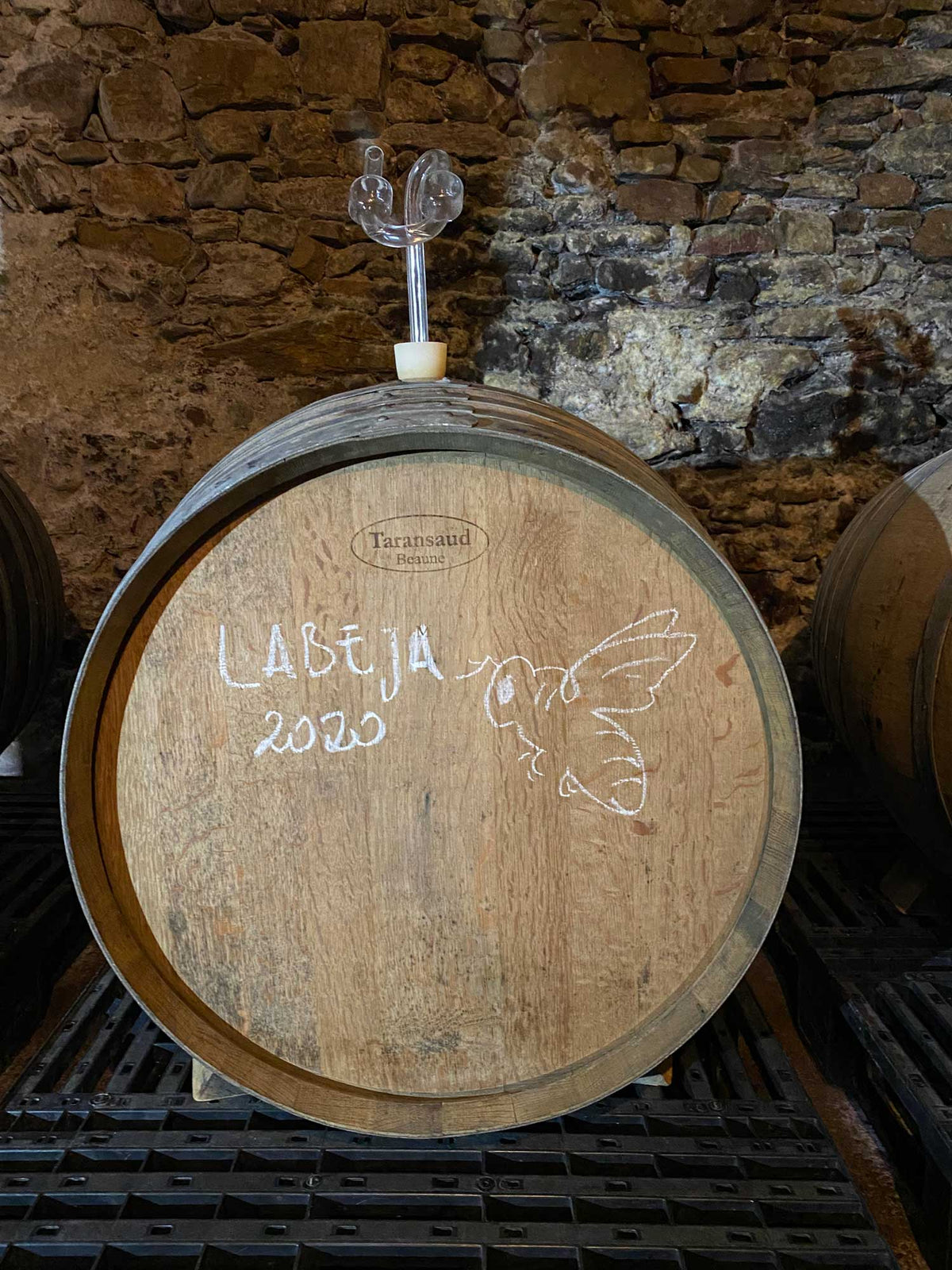 Das 2020eer Fass Labeja von Saltaren Wines