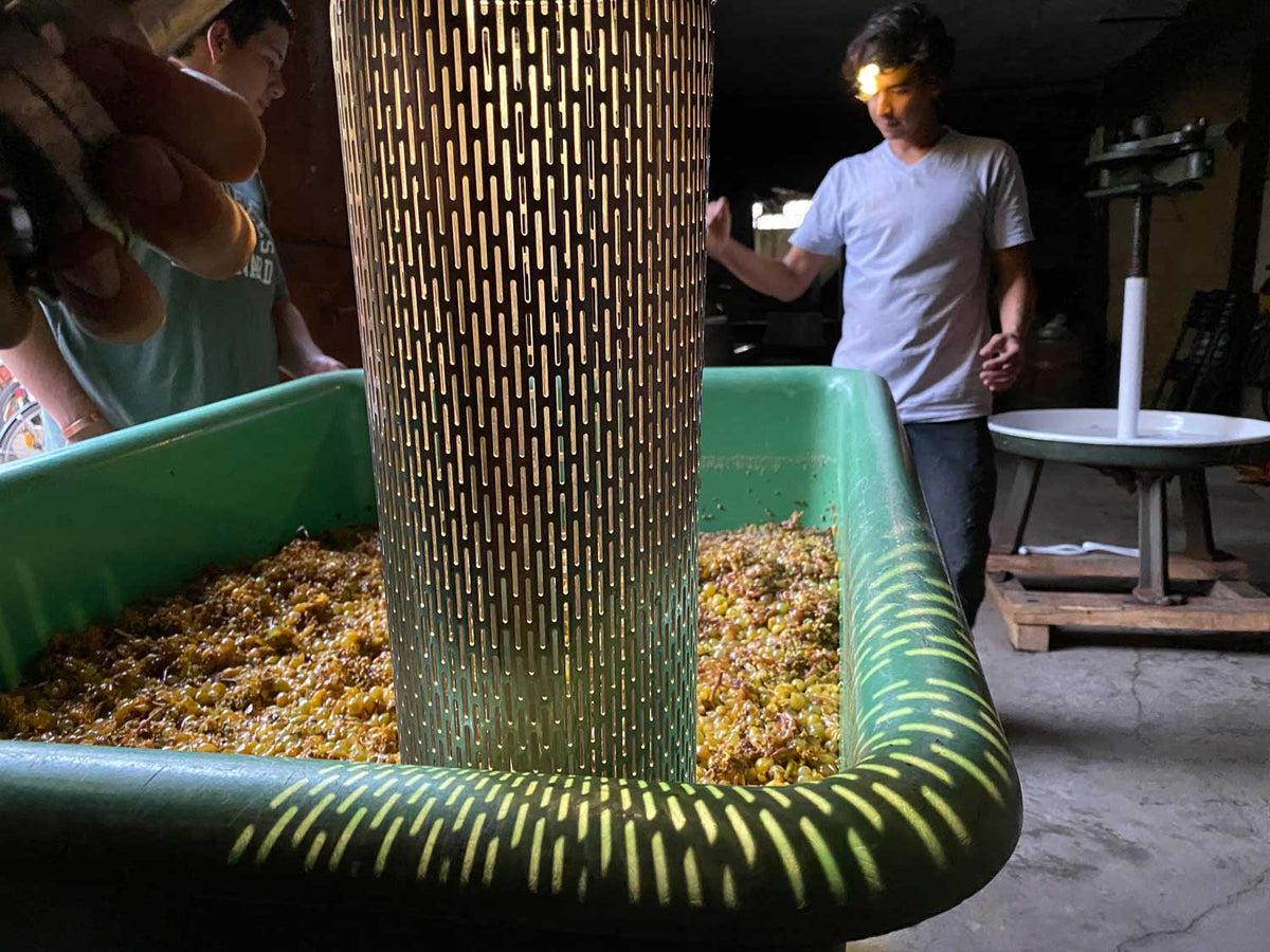 Lochzylinder Der Presse Saltaren Wines