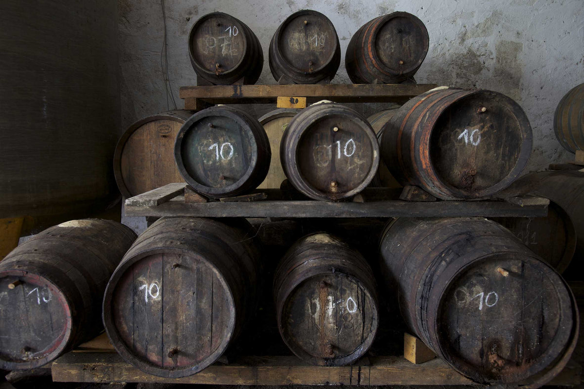 Fasskeller mit alten Fässern bei Fattoria di Sammontana