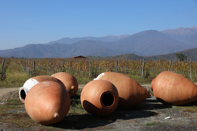 Georgische Qvevri vor Weinbergen am Kaukasus