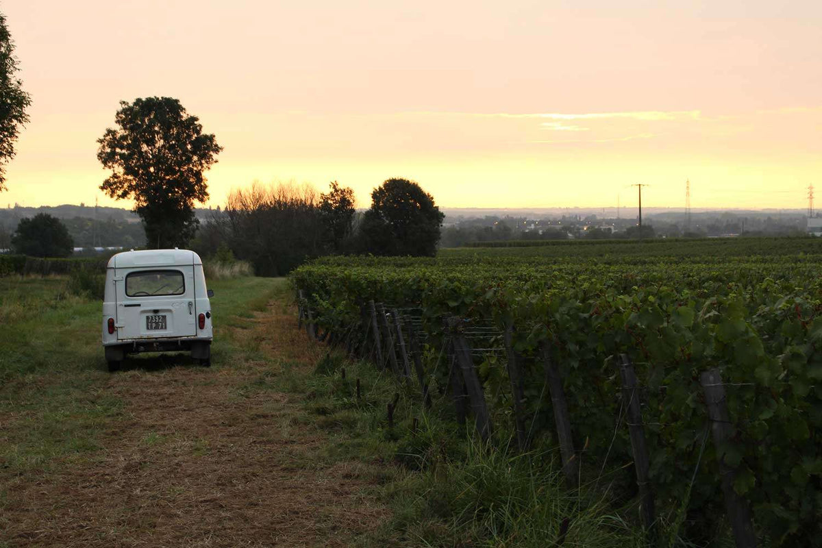 Sonnenuntergang Romatik bei Céline & Laurent Tripoz