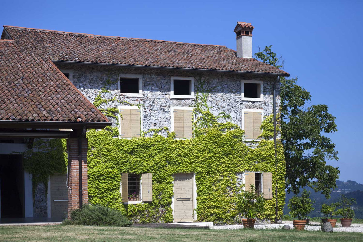 Das Wohnhaus und Weingut Dalle Ore