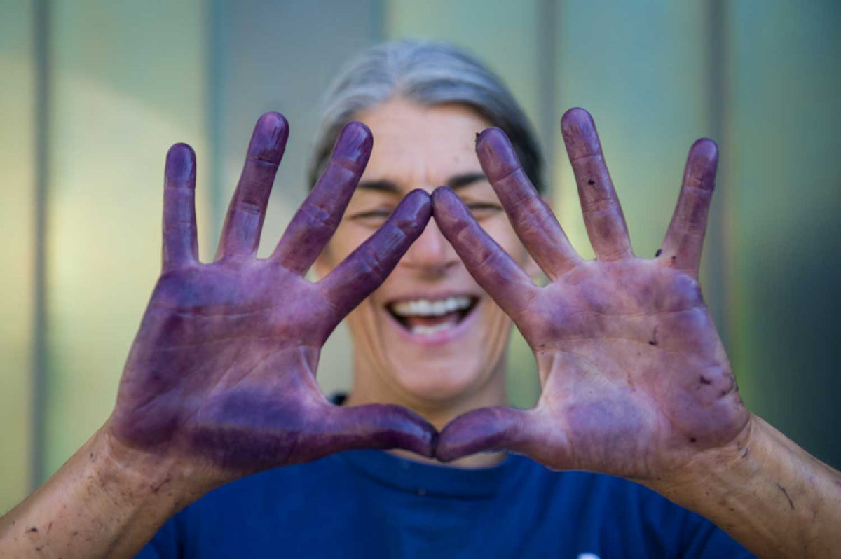 Elisabetta Foradori zeigt uns ihre blauen Hände nach der Ernte