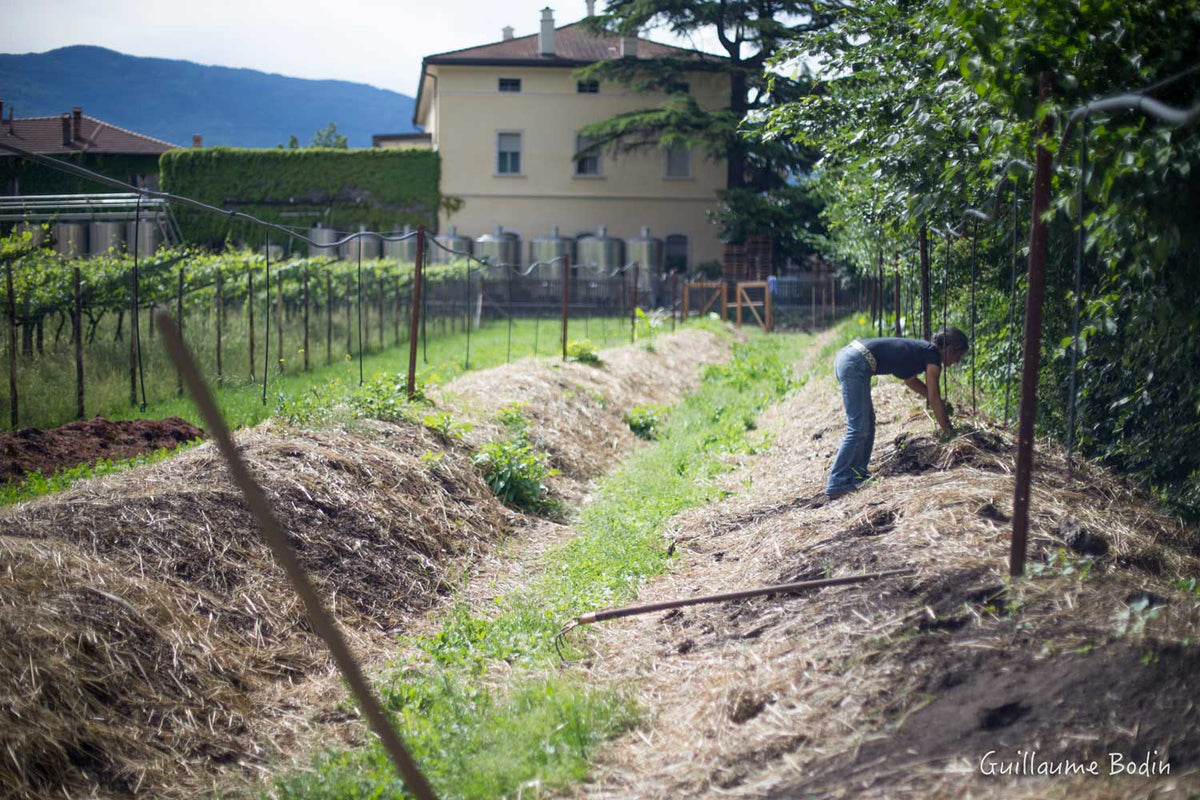 Elisabetta Foradori an ihrem Kompost vor dem Weingut