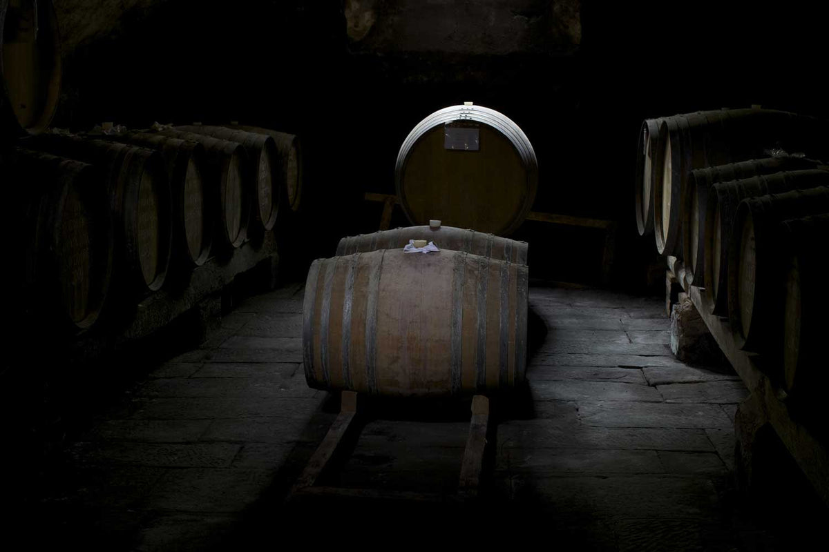 Fasskeller mit neuen Fässern bei Fattoria di Sammontana