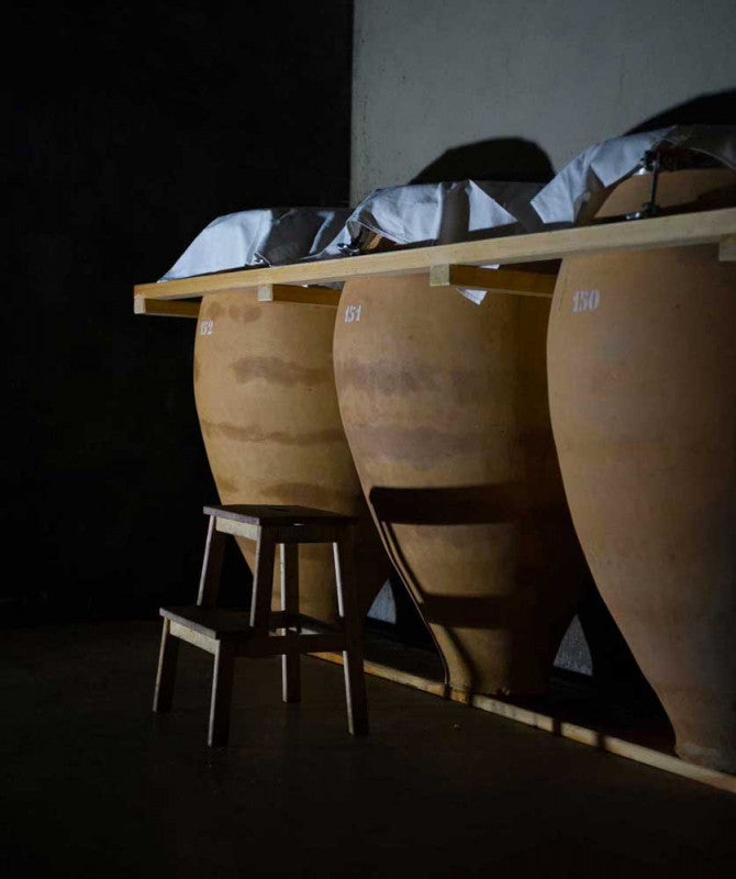 Abgedeckte Amphoren im Keller von Foradori