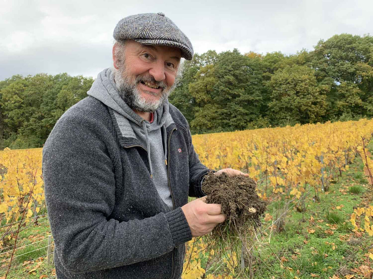 Georges Laval mit einem Stück Bodenprobe in seinem herbstlichen Weinberg