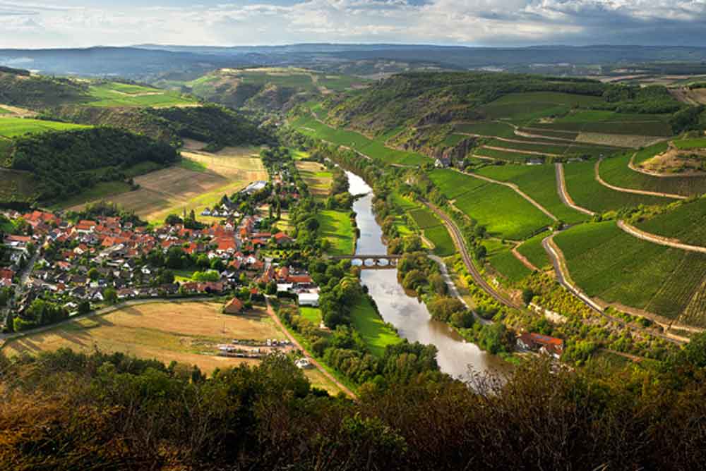 Luftbild auf die Weinberge von Gut Hermannsberg