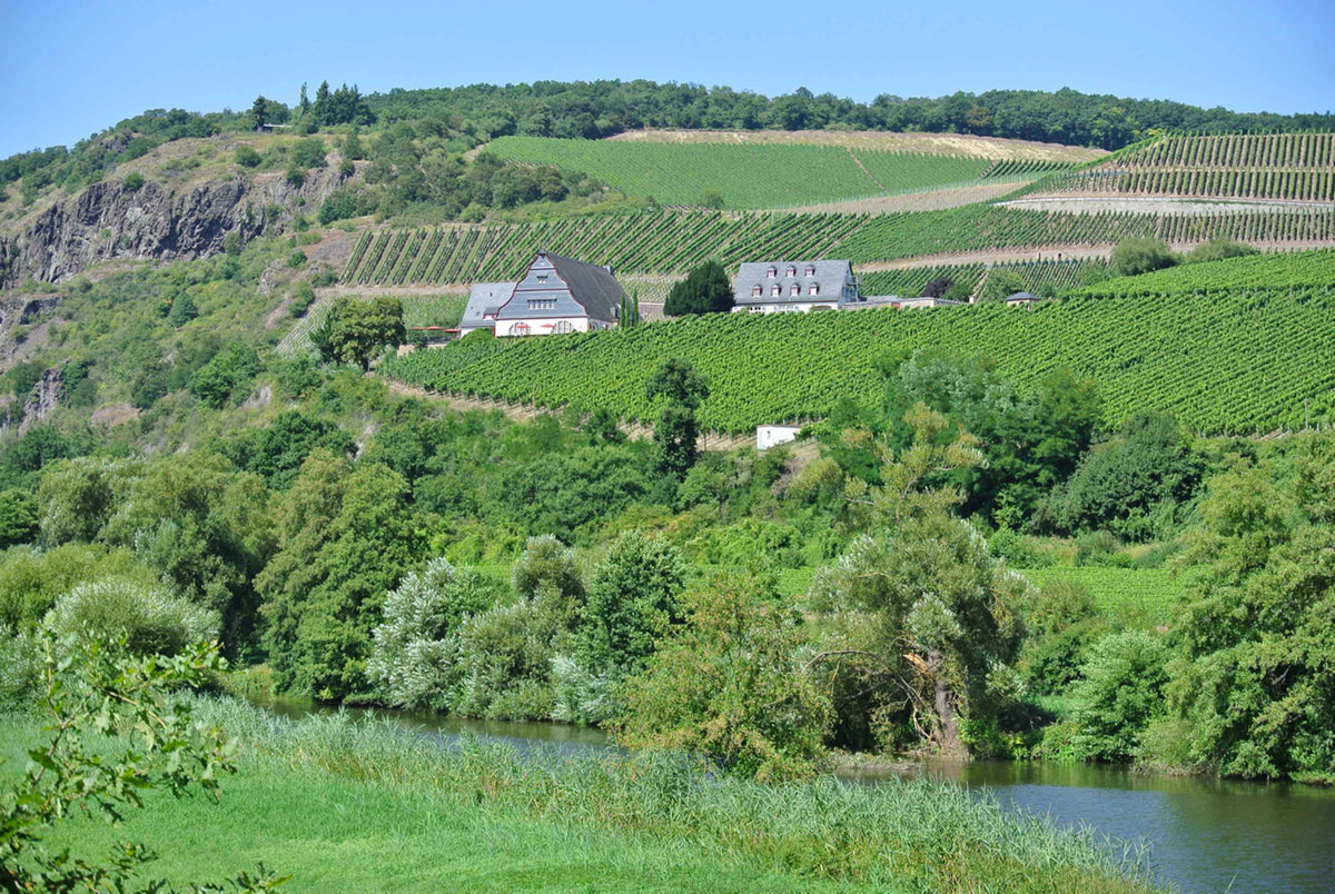 Blick vom anderen Nahe Ufer auf das Gut Hermannsberg