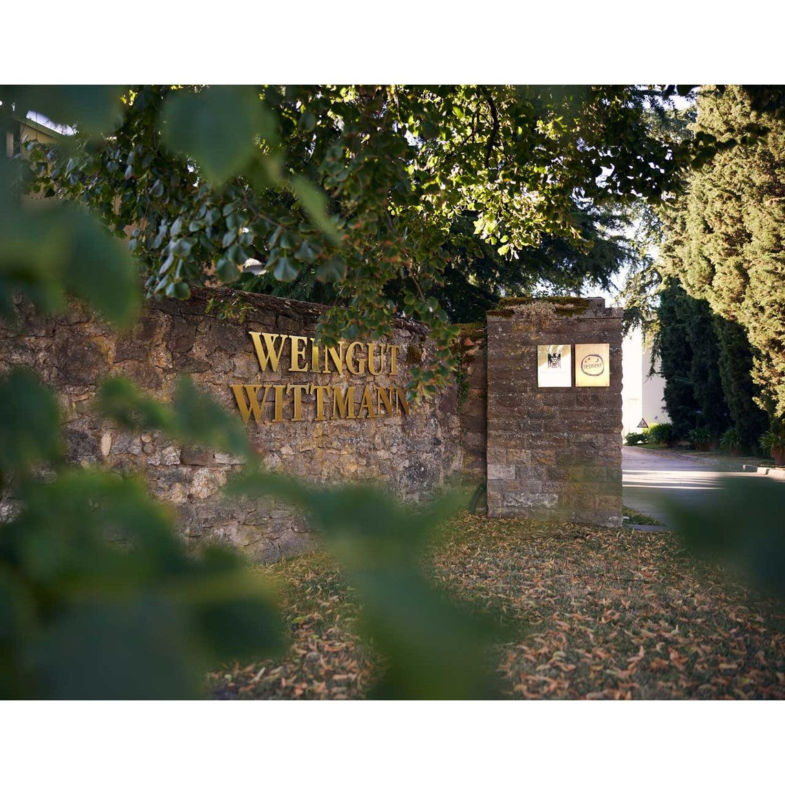 Hofeinfahrt-Weingut-Wittmann-low