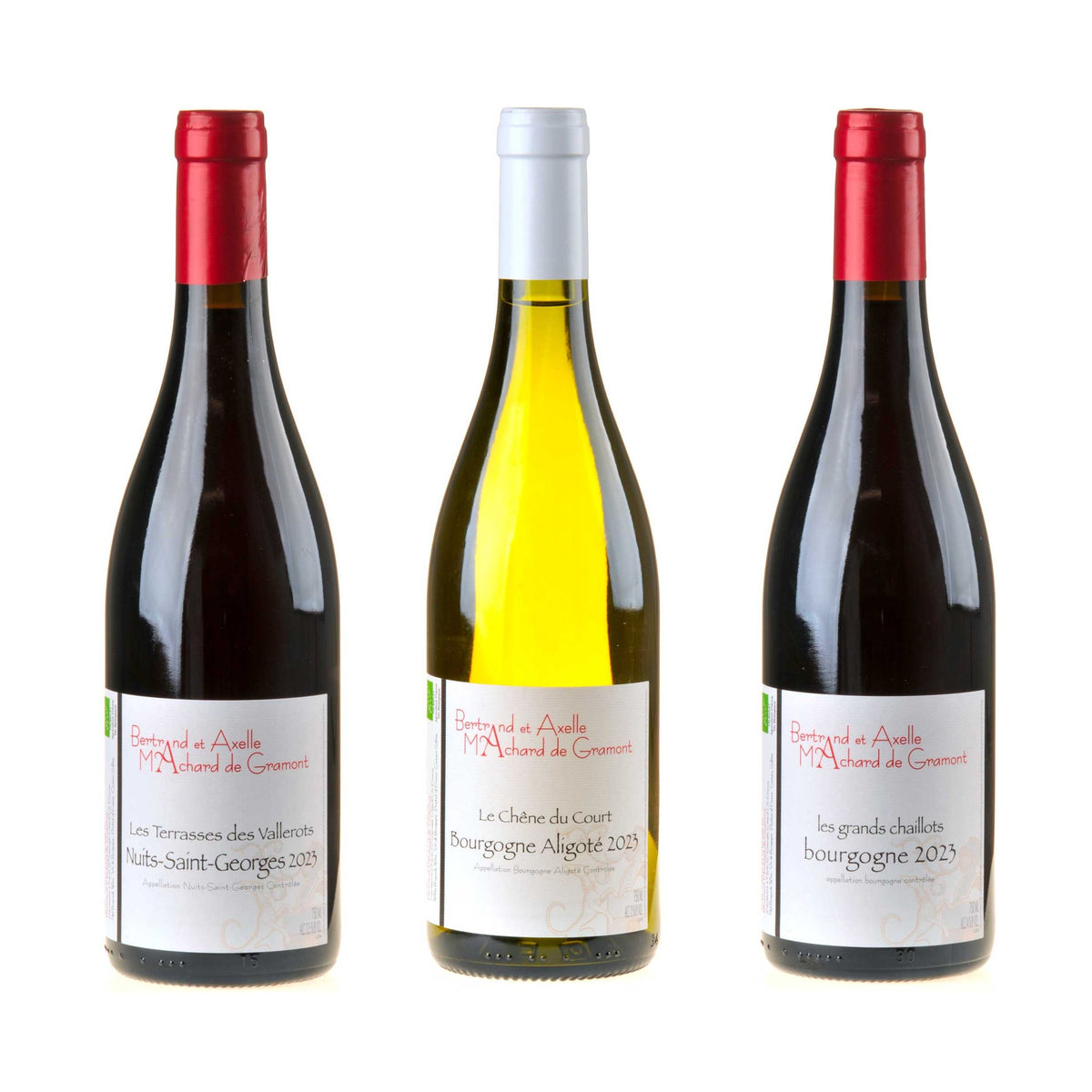 Machard-Gramont-Kennlernpaket
