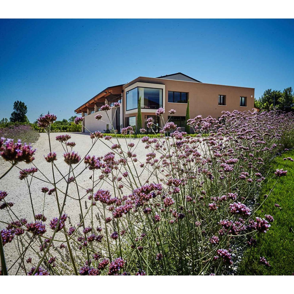 Montonale_WeingutbkUgSlYi60q0U