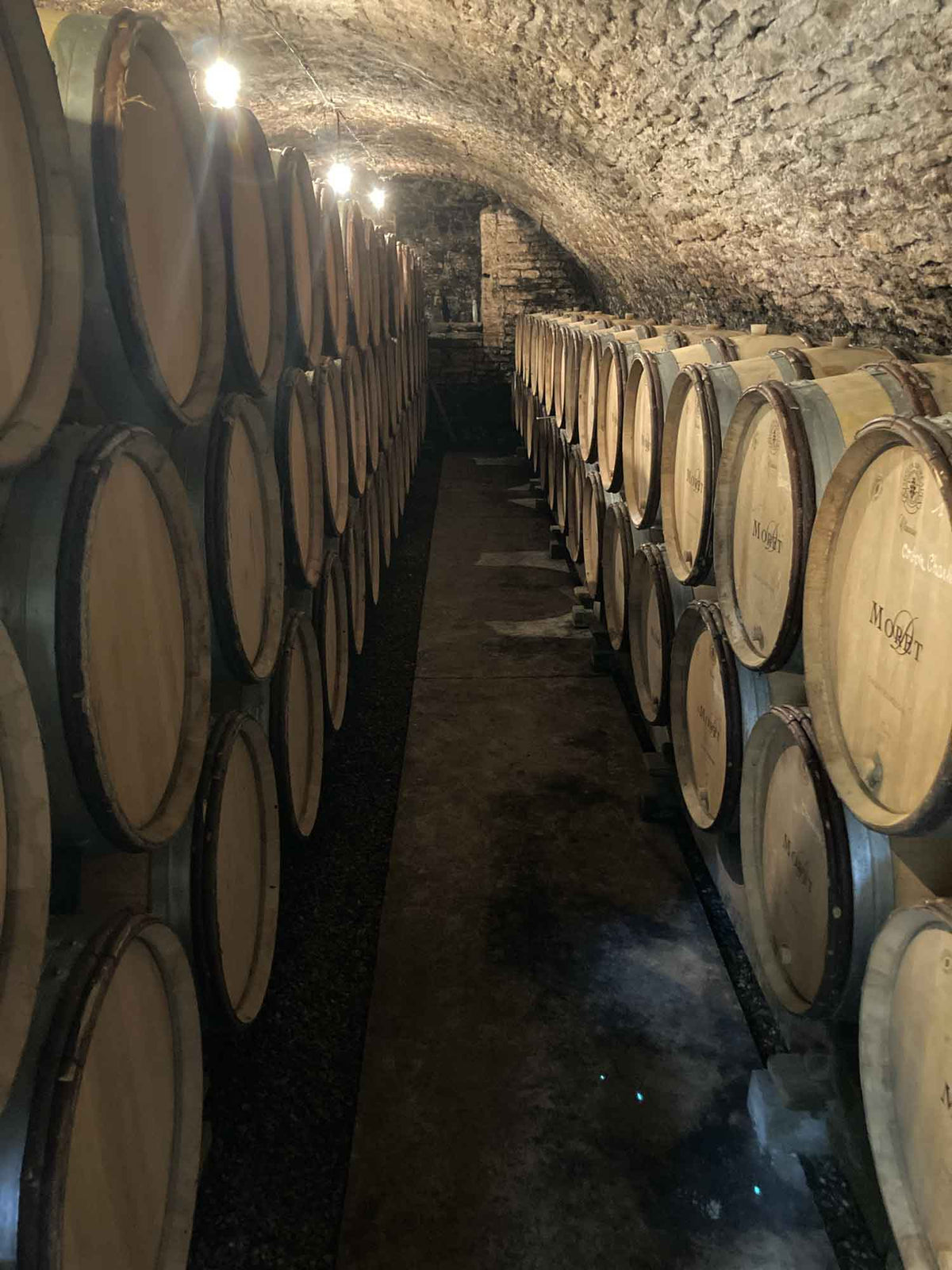 Blick in den Fasskeller von David Moret