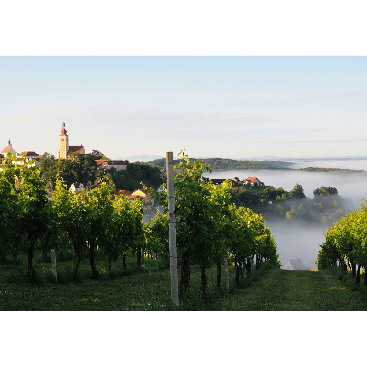 Duascht is schlimma ois Hamweh! – Großer Weinabend mit 12 Weinen aus Österreich und anderen Regionen