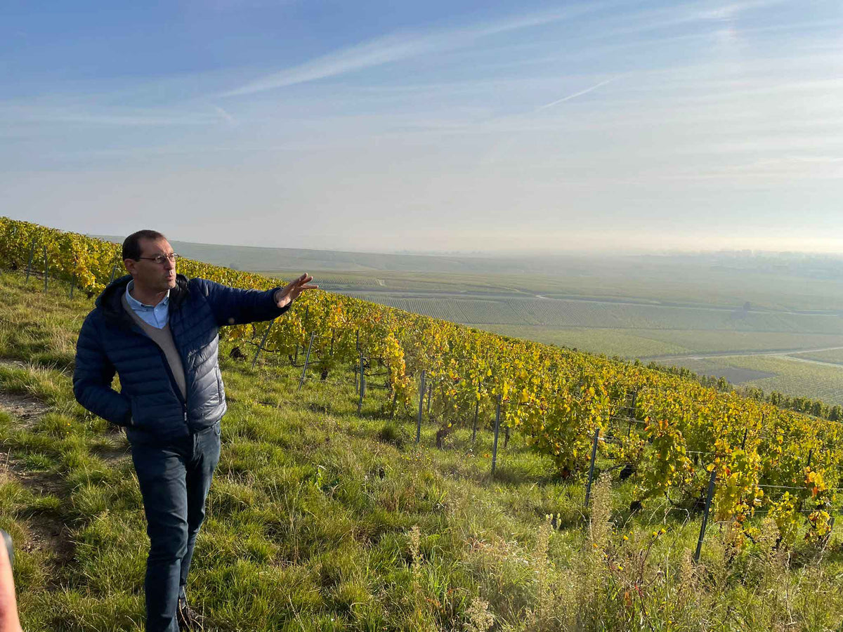 Pierre Larmandier in einem der Fasskeller von Larmandier-Bernier