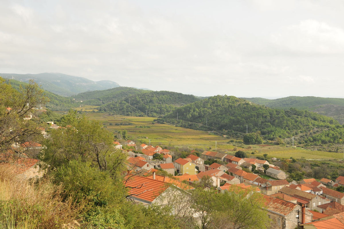 Blick über Smokvica und die Weinberge von Kunjas im Tal